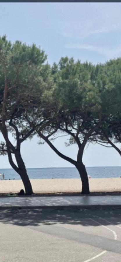 Windsurf Beach Front 토레 그란데 외부 사진