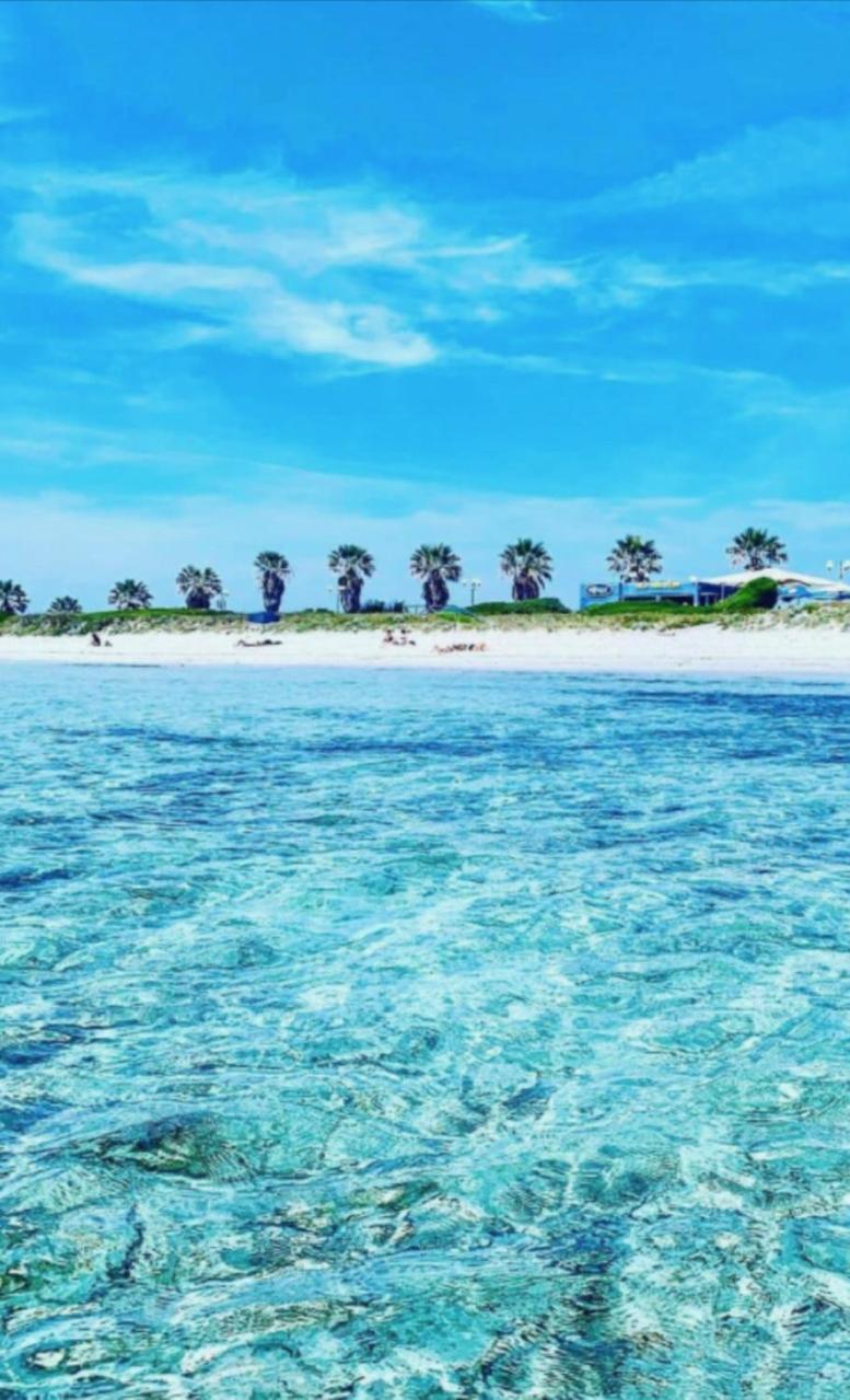 Windsurf Beach Front 토레 그란데 외부 사진